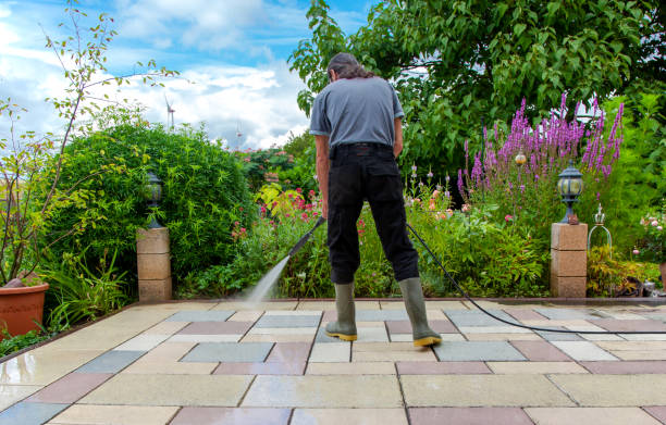 Best Animal Enclosure Cleaning  in Palo, IA